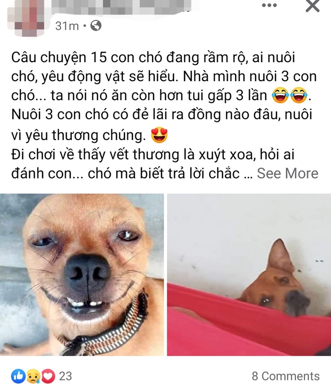 Cộng đồng mạng đang rất tiếc thương trước việc tiêu hủy 15 con chó ở Cà Mau. Hãy xem những hình ảnh gần gũi và cảm nhận được tình yêu thương của con người đối với động vật.