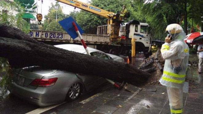 Hiện trường cây cổ thụ đổ đè bẹp ô tô Camry đang dừng đỗ dưới lòng đường trên phố cổ, quận Hoàn Kiếm, Hà Nội