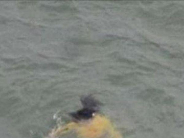 Phi thường - kỳ quặc - Vội vàng lao xuống sông cứu cô gái đuối nước, ông lão đột nhiên bỏ mặc nạn nhân vì lý do bất ngờ