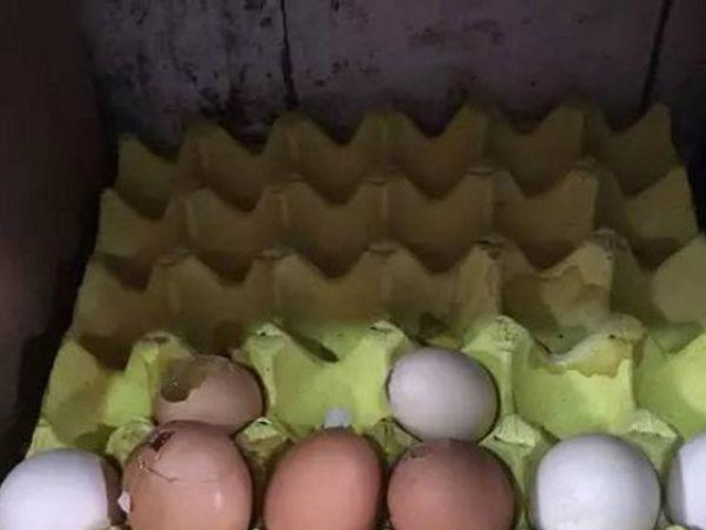 Phi thường - kỳ quặc - Bé gái làm vỡ vỉ trứng bị nhân viên siêu thị bắt đền gấp 20 lần, ông nội chỉ nói 1 câu làm cục diện đảo chiều