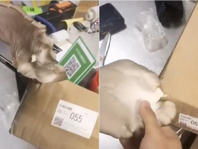 Bạn trẻ - Cuộc sống - Hơn nửa tháng mới nhận được đơn online, chàng trai có luôn bữa ăn ngon vì gói hàng mọc nấm