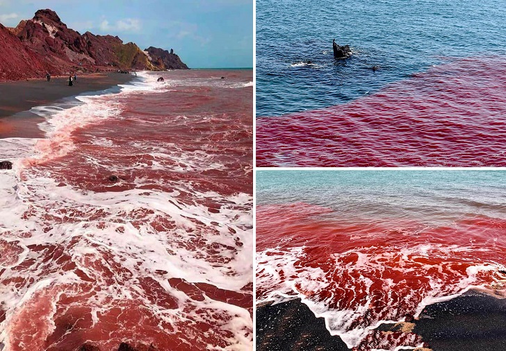 Hormuz: Hòn đảo có bãi biển màu ruby độc đáo - 3