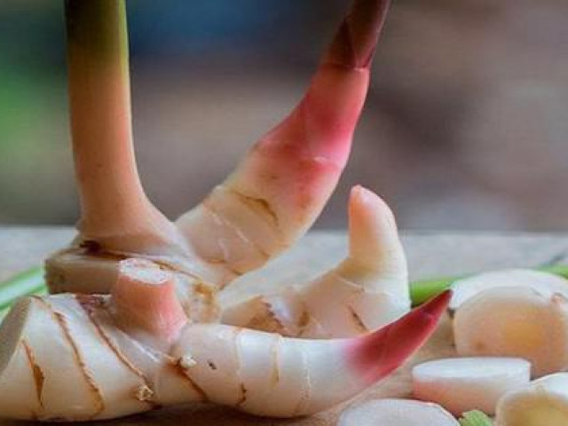 Sức khỏe đời sống - Loại củ "rẻ như cho" ở Việt Nam không ngờ lại là thuốc quý chống 7 bệnh ung thư