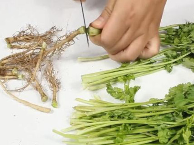 Sức khỏe đời sống - Nấu ăn nhớ đừng bỏ đi 3 thứ này, không những là vị thuốc mà còn phòng chống ung thư hiệu quả