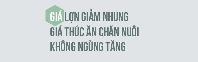 Nhà lầu, sổ đỏ, ô tô &#34;đội nón&#34; ra đi sau một lứa lợn, anh nông dân khóc ròng - 9