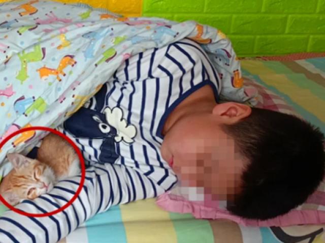 Giáo dục - du học - Bị "đàn anh" cùng trường bắt nạt, cậu bé từng là "bậc thầy tiểu học" rơi vào tình trạng gây xót xa
