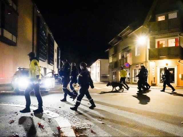 Thế giới - Rúng động vụ 5 người bị bắn chết bằng cung tên ở Na Uy