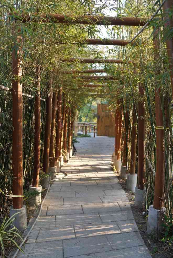 Các lối đi trong vườn quanh nhà được quy hoạch và thiết kế như một khu du lịch sinh thái.