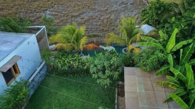 Bao quanh nhà là khu vực trồng cây ăn trái, đan xen với vườn rau và bãi cỏ xanh mướt.