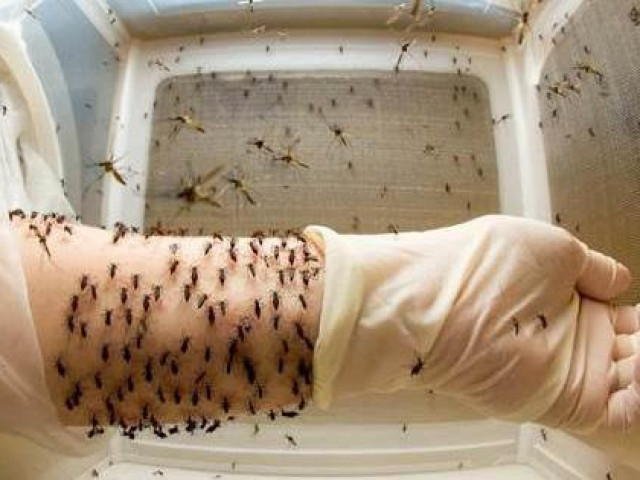 Kinh doanh - 7 nghề được trả lương vô cùng hậu hĩnh nhưng chả mấy ai dám làm, ái ngại khi nghe nhắc đến