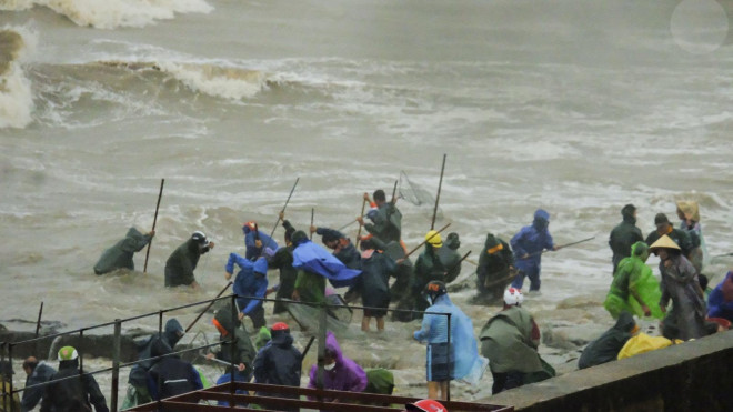 Người dân Cẩm Nhượng và các vùng lân cận đã đổ ra bãi biển Thiên Cầm để vớt hàng tấn sò mai trôi dạt vào bờ.