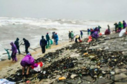 Tin tức trong ngày - Người dân Hà Tĩnh ra biển vớt "lộc trời" giữa mưa rét