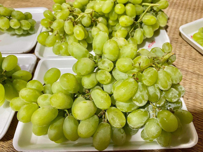 Nho xanh không hạt hay còn gọi là nho xanh sữa đang gây sốt tại Việt Nam, với chất lượng và giá cả tương đương loại nho Ruby.