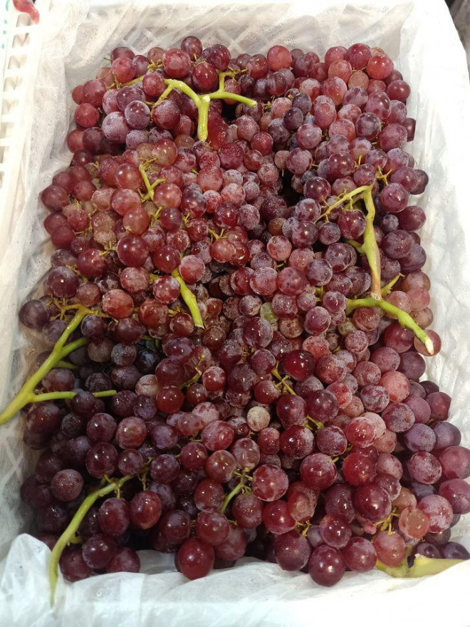 Mặc dù mức giá tương đồng nhưng so với nho Ruby, nho kẹo có hình tròn hơn và màu thẫm hơn.