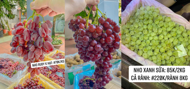3 loại nho đang gây sốt tại Việt Nam (nho Ruby, nho Kẹo, nho xanh sữa) đều có độ giòn, ngọt tương đồng, mức giá cũng chỉ từ 27.000 đồng/kg tùy khối lượng. Đơn cư nho xanh, nếu mua cả rành 8kg với giá 220.000 đồng thì tương đương khoảng 27.000 đồng/kg.