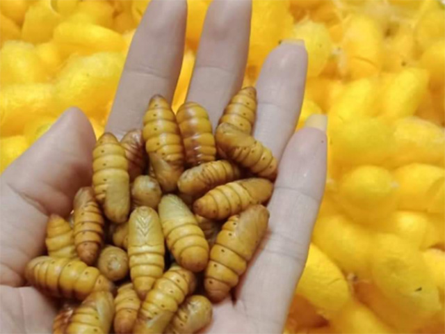 Sức khỏe đời sống - Ai đau đầu, mất ngủ, chóng mặt, đau mỏi vai gáy: Thử mẹo này mỗi tối là thoát bệnh, ngủ khỏe ăn ngon