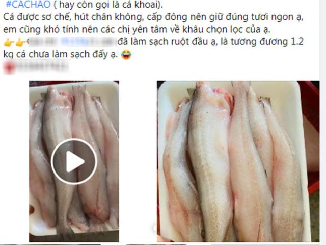 Thị trường - Tiêu dùng - Loại cá đặc sản ở quê giá rẻ như cho, lên thành phố 250.000 đồng/kg tranh nhau mua