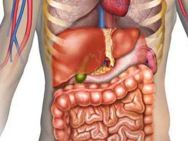 Sức khỏe đời sống - Lục phủ ngũ tạng "thích" và "sợ" nhất loại quả nào?