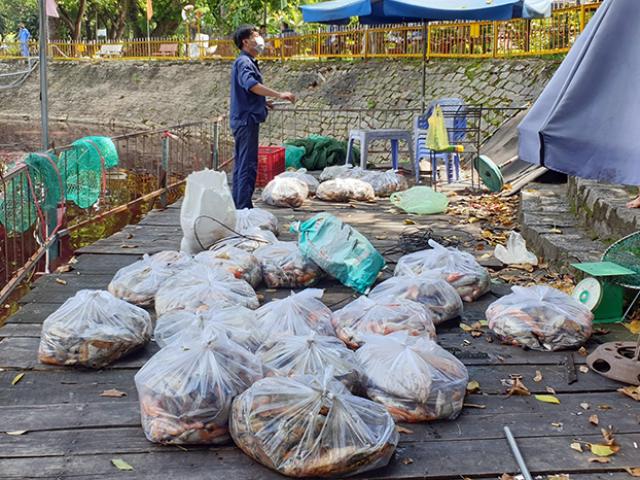 Tin tức trong ngày - Tin tức 24h qua: Cả tấn cá chết nổi ở hồ nước rộng 7.000m2 trong công viên ở Sài Gòn