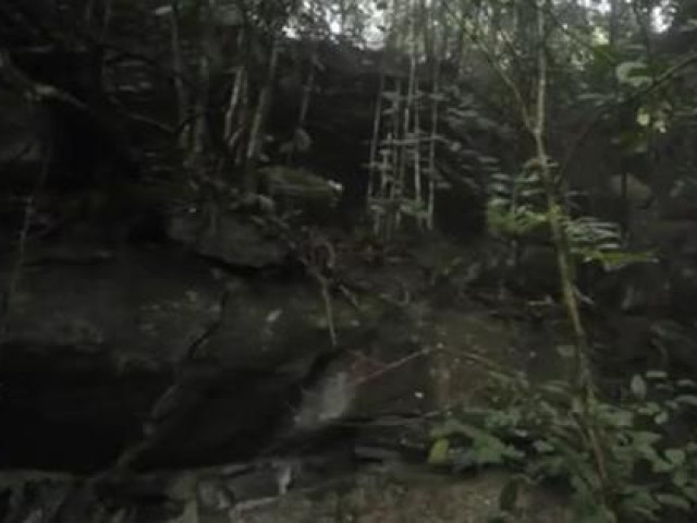 Pháp luật - "Người rừng" Ma Sèo Chứ và cuộc truy tìm xuyên 2 thế kỷ: Va chạm với "phù thuỷ"