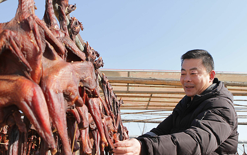 Cách chế biến gà hong gió bị lên án là quá tàn nhẫn và khủng khiếp.