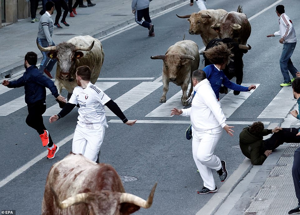 Dân Tây Ban Nha chạy đua với bò tót để ăn mừng ngày “thoát” phong tỏa (ảnh: The Sun)