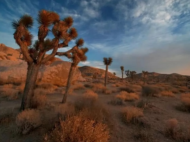 Du lịch - 10 sa mạc đẹp nhất thế giới, đáng được ghi danh vào sổ tay du lịch của bạn