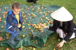 Bạn trẻ - Cuộc sống - Cuộc sống gần thiên nhiên của vợ Việt chồng Đức ở nông trại gần 9000m2