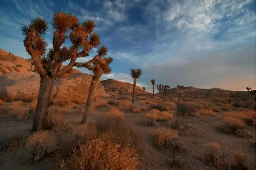 10 sa mạc đẹp nhất thế giới, đáng được ghi danh vào sổ tay du lịch của bạn - 6