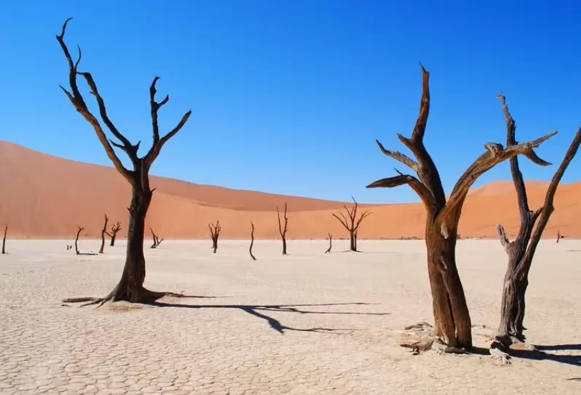10 sa mạc đẹp nhất thế giới, đáng được ghi danh vào sổ tay du lịch của bạn - 10