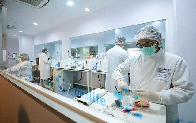 Cordlife là ngân hàng máu cuống rốn hàng đầu châu Á