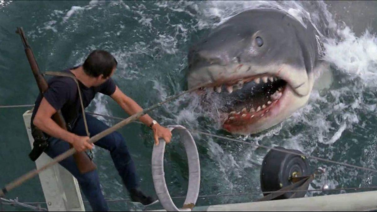 Jaws đã mở màn cho loạt phim hấp dẫn và ghê rợn về cá mập trắng