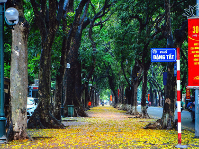 Du lịch - Hà Nội đẹp đến nao lòng mùa lá rụng