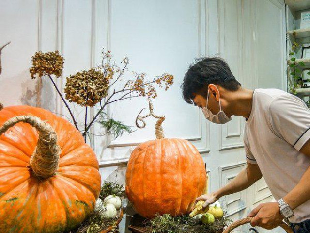 Thị trường - Tiêu dùng - Bí ngô "khổng lồ" giá chục triệu đồng được săn đón dịp Halloween