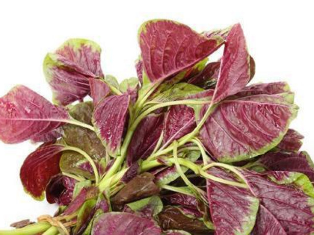 Sức khỏe đời sống - Rau dền rất nhiều chất xơ, tốt cho tiêu hóa nhưng ăn nhiều quá lại gây hại