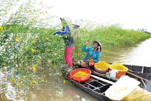 &#34;Những bông hoa trời cho&#34; chỉ mỗi năm 1 vụ nhưng là những món ăn ngon ngọt miễn chê - 3