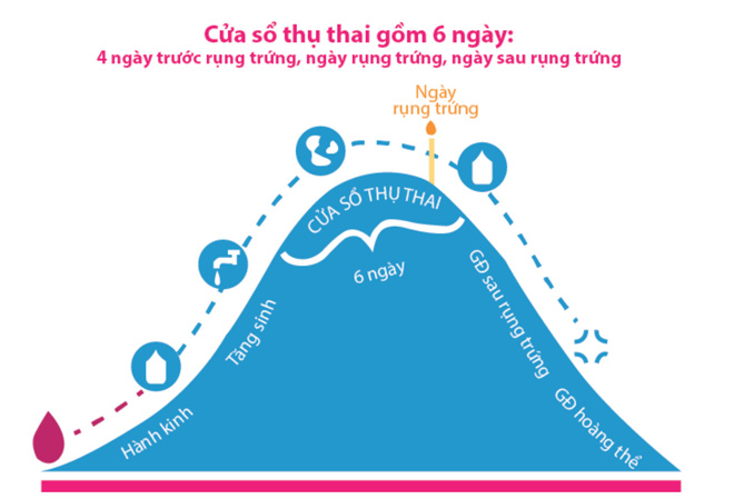 Quan hệ vào cửa sổ thụ thai sẽ giúp tăng cơ hội đậu thai lên cao nhất