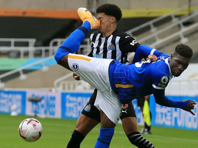 Bóng đá - Trực tiếp bóng đá Brighton - Newcastle: Đội hình xuất phát (Vòng 11 Ngoại hạng Anh)