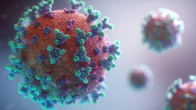 Virus SARS-CoV-2 gây bệnh Covid-19 (Ảnh minh họa từ Internet)