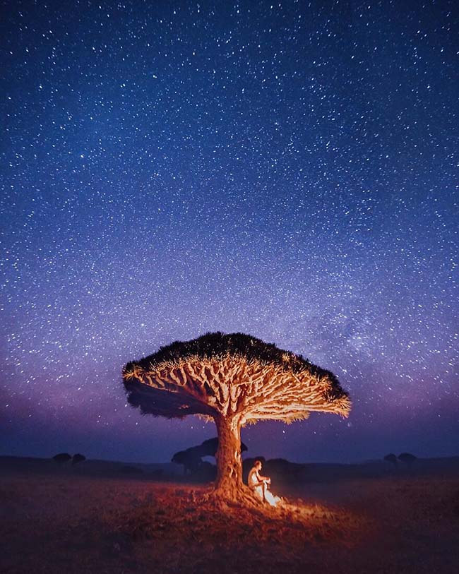 Mối đe dọa chính đối với thiên nhiên ở Socotra do một số loài vật như dê ăn các chồi non của cây Dragon’s Blood (cây máu rồng hoặc cây long huyết). Ngoài ra còn do biến đổi khí hậu và tác động của con người.
