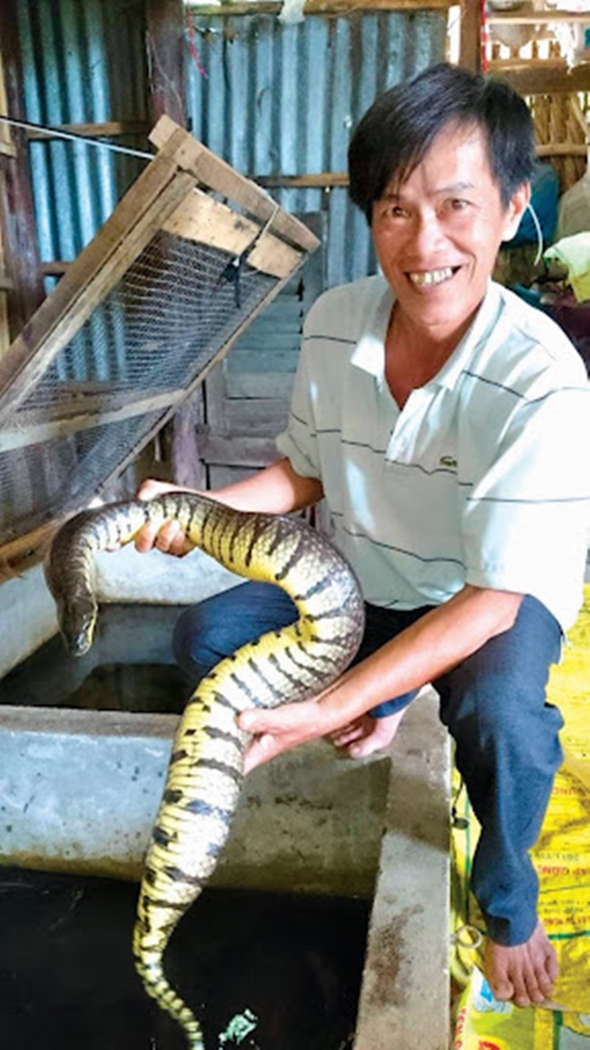 Khi nuôi rắn ri phải chú ý môi trường nước, phải giữ cho nước sạch để rắn ri lớn nhanh.
