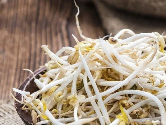 Sức khỏe đời sống - Những lợi ích của giá đỗ đối với sức khỏe và sắc đẹp ít người biết