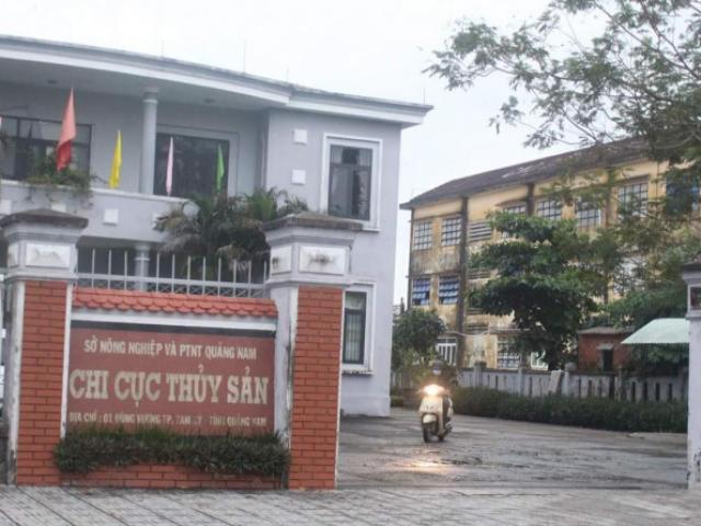 Tin tức trong ngày - Cách chức Chi cục trưởng Chi cục Thủy sản Quảng Nam