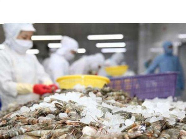 Kinh doanh - Thủy sản Minh Phú lãi ròng hơn 2 tỷ đồng/ngày