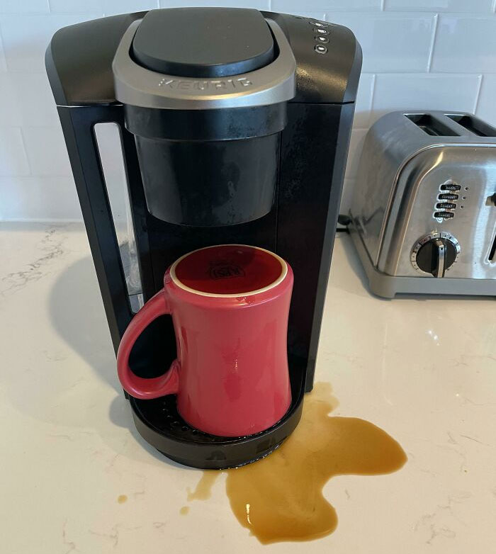 “Tôi là đồ ngốc và vợ tôi sẽ không ngừng cười khi thấy cảnh này”.