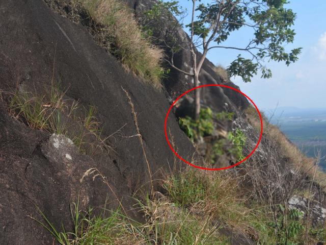 Pháp luật - Nữ sinh viên bị “yêu râu xanh” giở trò trong bãi gửi xe: Thi thể ở khe núi