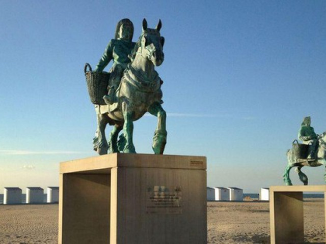 Thế giới - Những ngư dân đánh bắt tôm trên lưng ngựa