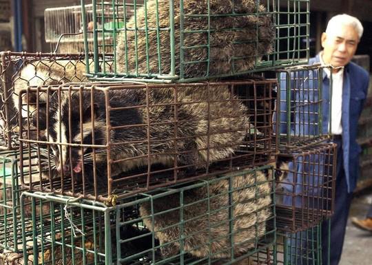 Cầy hương được bán ở chợ động vật hoang dã tại tỉnh Quảng Châu - Ảnh: AP