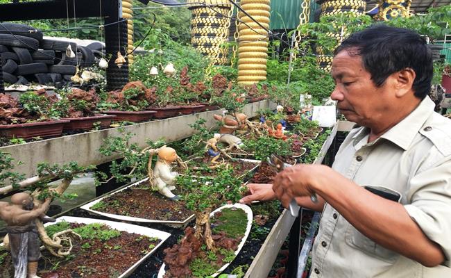 Ở Việt Nam, không khó để bắt gặp những bộ sưu tập “quái cây” nổi tiếng trong nước và cả trên thị trường quốc tế. Trong đó có rất nhiều bộ sưu tập thuộc sở hữu của các lão nông Việt Nam. 
