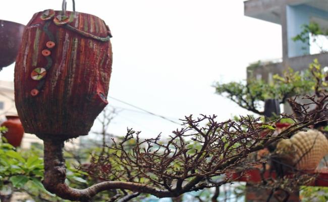Năm 2020, hàng trăm tác phẩm cây cảnh loại bonsai mọc ngược độc đáo của ông đã được Tổ chức kỷ lục Việt Nam xác nhận Bằng kỷ lục "Người tạo tác các tác phẩm Bonsai ngược nhiều nhất Việt Nam".
